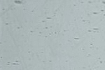 463x grau Antikglas